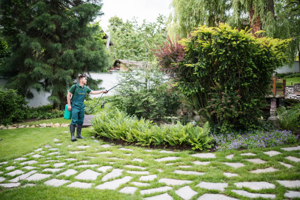 Trusted Atlanta, GA Pest Control Experts