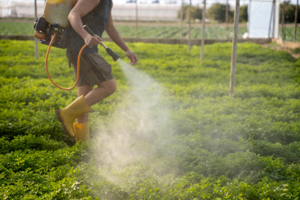 Best Commercial Pest Control Services  in Atlanta, GA
