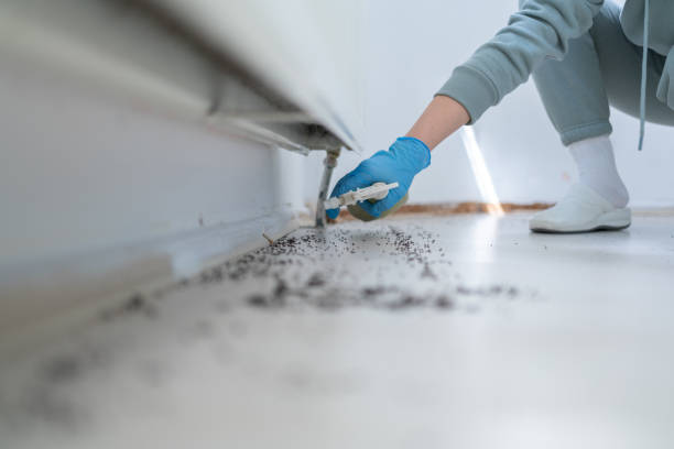 Best Affordable Exterminators  in Atlanta, GA